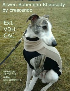 Freddy_CAC_29.03.2013