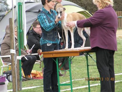 2013.04.13. -Sachsenh. 028-small