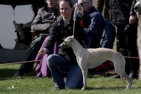 CAC_OC_20_04_2013_20