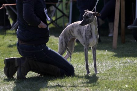 CAC_OC_20_04_2013_21-1