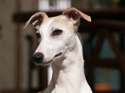 Eve_07.04.2013_1-small