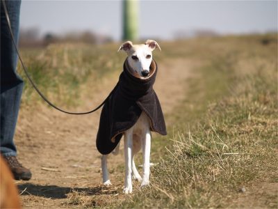 Eve_07.04.2013_2-small