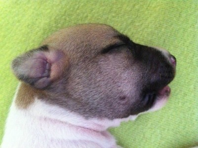 First Choice_05.04.2013_5