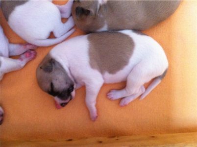 First Choice_11.04.2013-small