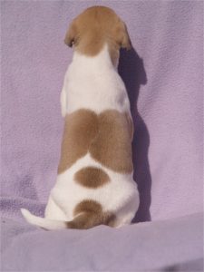 First Choice_22.04.2013_5-small