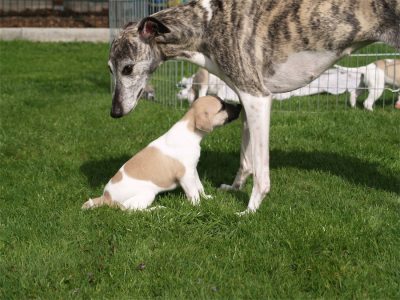 First Choice_25.04.2013_1-small