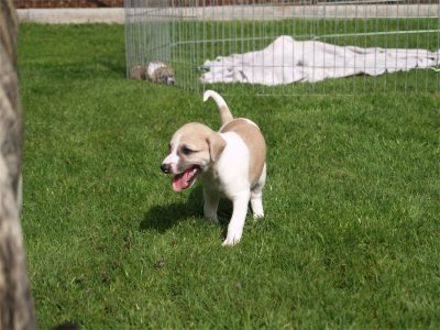 First Choice_25.04.2013_2-small