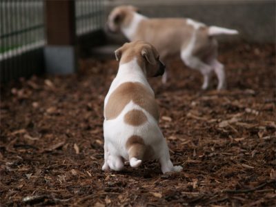 First Choice_27.04.2013_4-small