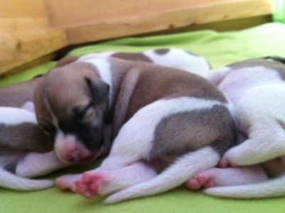 First Class_05.04.2013_1