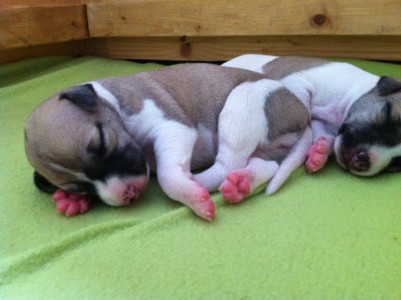 First Class_05.04.2013_5