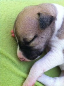 First Class_05.04.2013_6