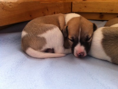 First Class_09.04.2013