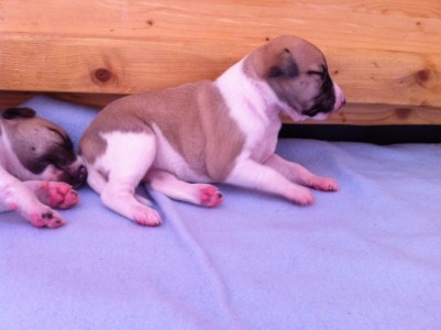 First Class_09.04.2013_1