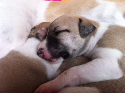 First Class_11.04.2013-small