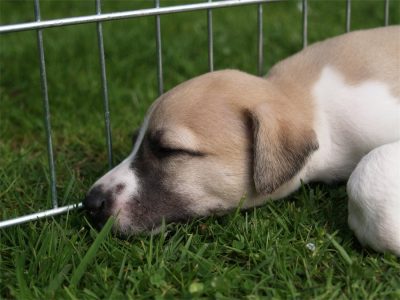 First Class_25.04.2013_1-small