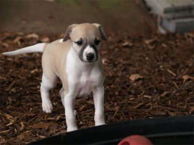 First Class_27.04.2013_1-small