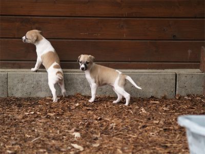 First Class_27.04.2013_3-small