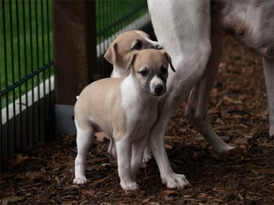 First Class_27.04.2013_4-small