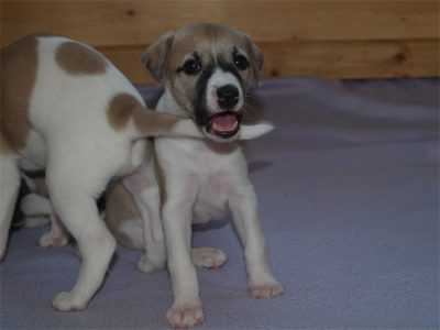 First Class_27.04.2013_5-small