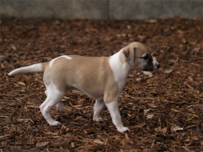 First Class_27.04.2013_6-small