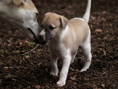 First Class_27.04.2013_7-small
