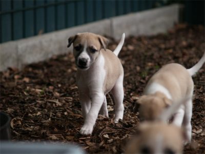 First Knight_27.04.2013_2-small