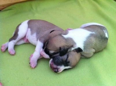 First Loce_05.04.2013_2