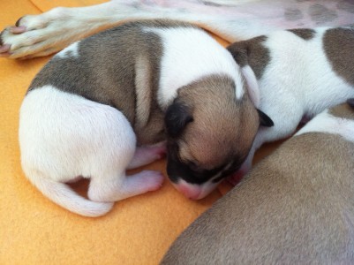 First Love_01.04.2013