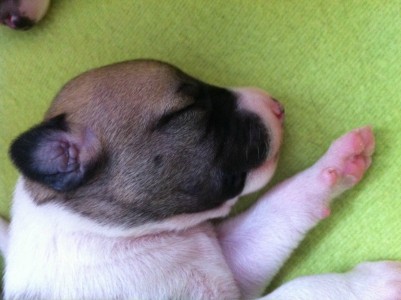 First Love_05.04.2013_4