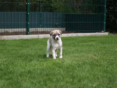 First Love_25.04.2013_1-small