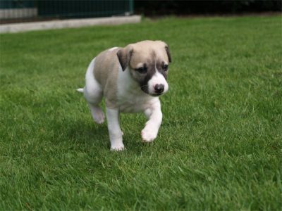 First Love_25.04.2013_2-small