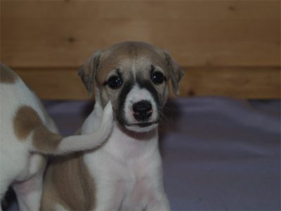 First class_27.04.2013_8-small