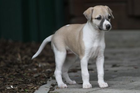 First_Class_28_04_2013_1