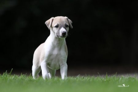 First_Class_28_04_2013_4