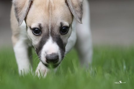 First_Class_28_04_2013_5