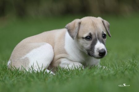 First_Class_28_04_2013_6