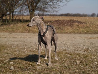 Fynn_07.04.2013_1-small