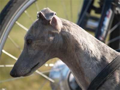 Fynn_07.04.2013_3-small