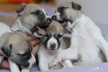 Kindergarten_14_04_2013_15