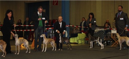 Luxembourg 30.03.2013_Miro_1-small