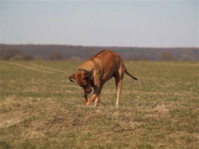 Sheikh_07.04.2013_4-small