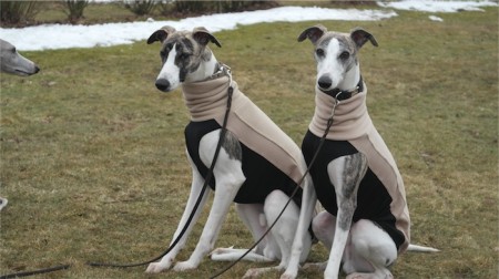 Vater und Sohn_Hoope-small