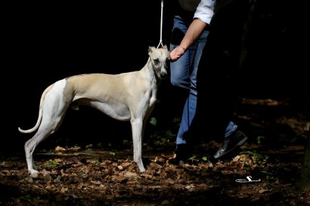 04_05_2013_mono_klein