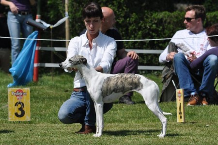 62598_455465297872444_1795794346_n