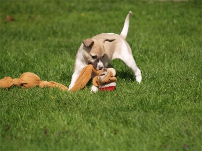 Class_03.05.2013_1-small