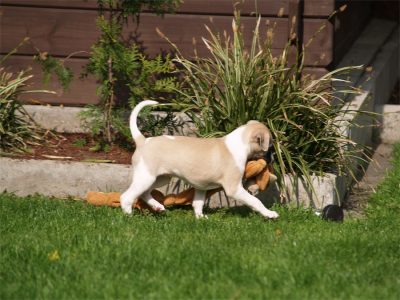 Class_03.05.2013_2-small