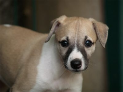 Class_03.05.2013_8-small