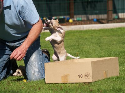 Class_06.05.2013_2-small