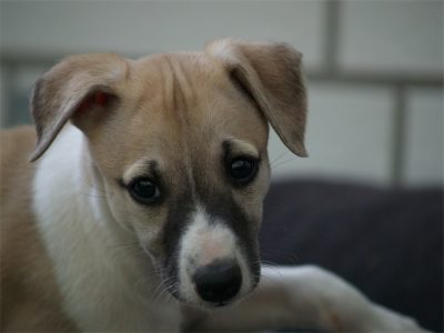 Class_06.05.2013_5-small