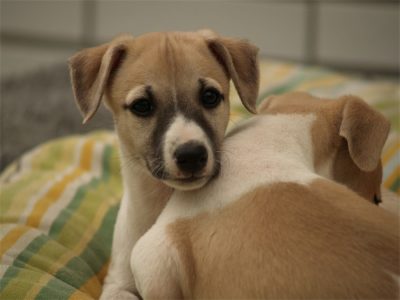 Class_10.05.2013_1-small